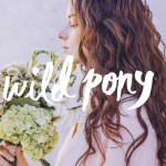 Wild Pony, lo nuevo de Compañía Fantástica